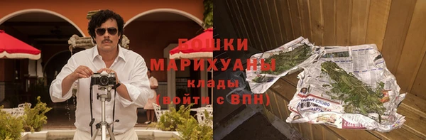 гашик Дмитриев