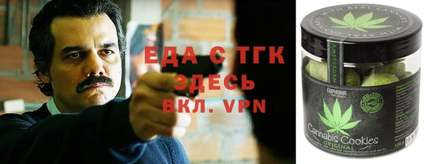 гашик Дмитриев