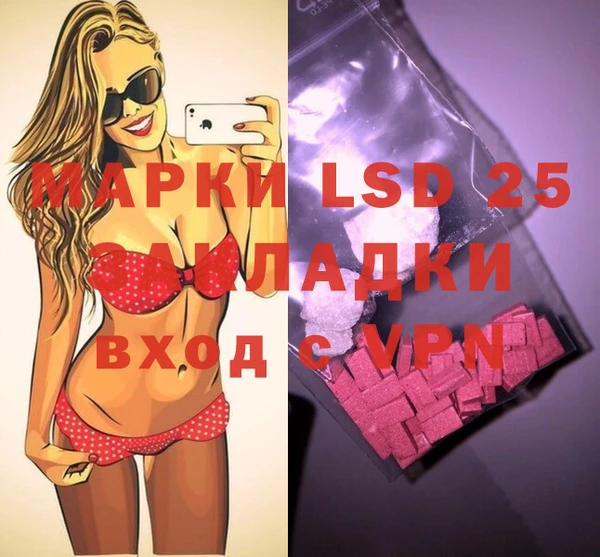 гашик Дмитриев