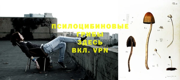 гашик Дмитриев