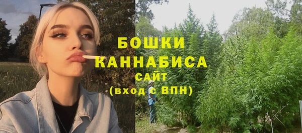 гашик Дмитриев