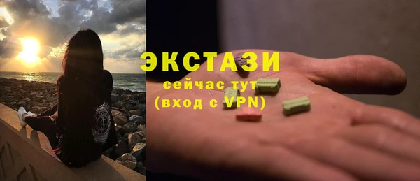 крисы Ельня