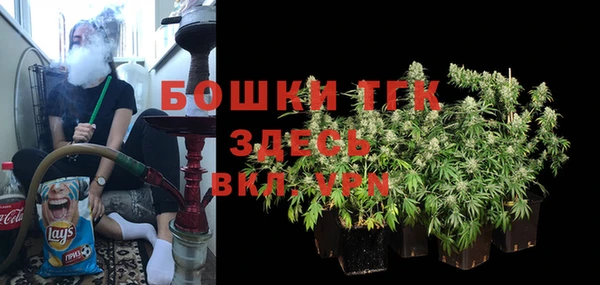 крисы Ельня