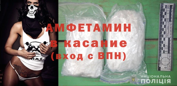 крисы Ельня
