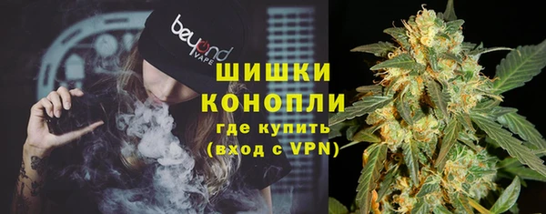 гашик Дмитриев